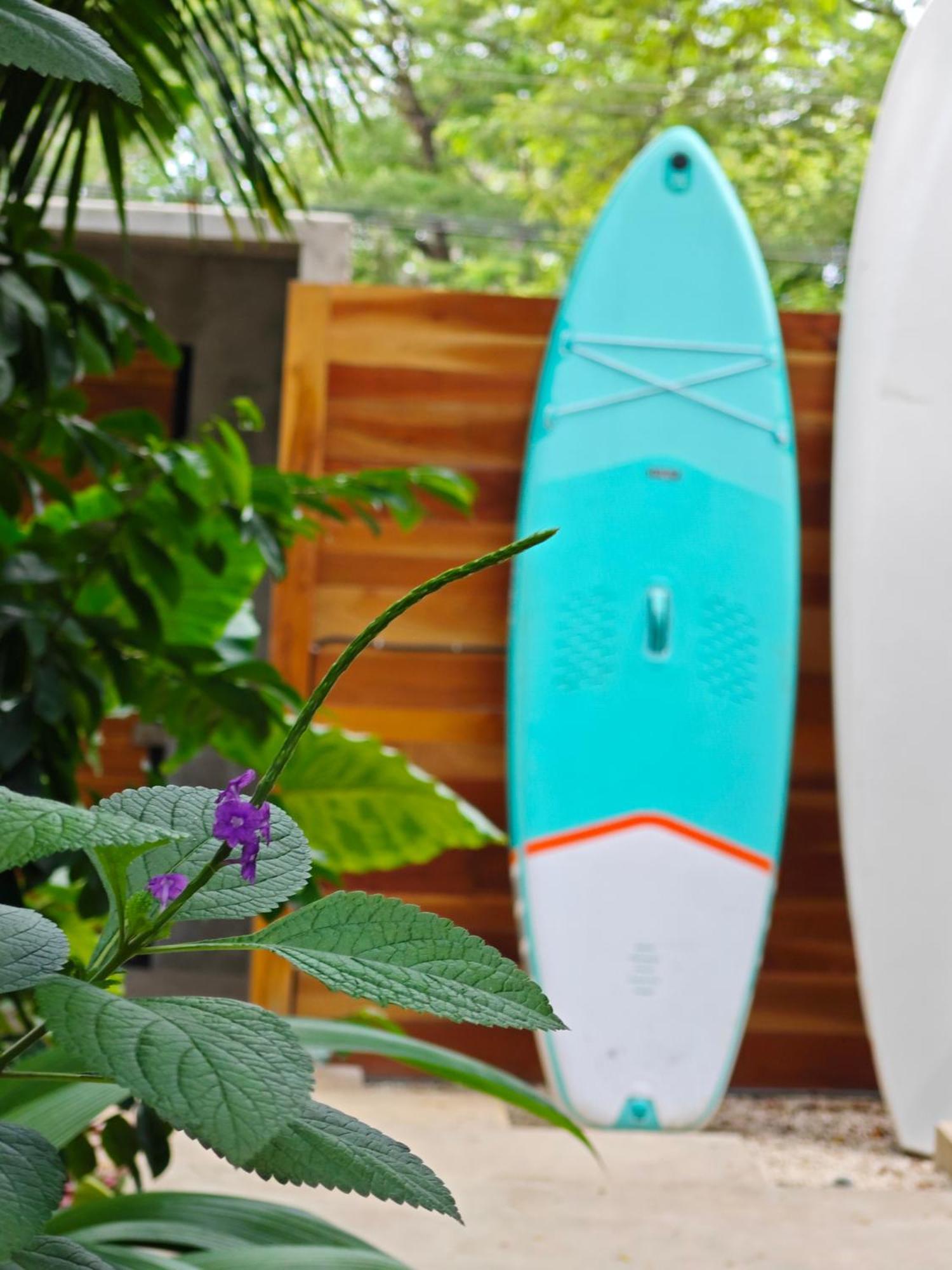 Playa Santa Teresa  Arjau Boutique Hotel - Adults Only מראה חיצוני תמונה